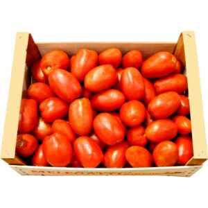 Pomodori