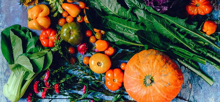 Perchè il cibo naturale è salutare. Perchè il cibo naturale è salutare.